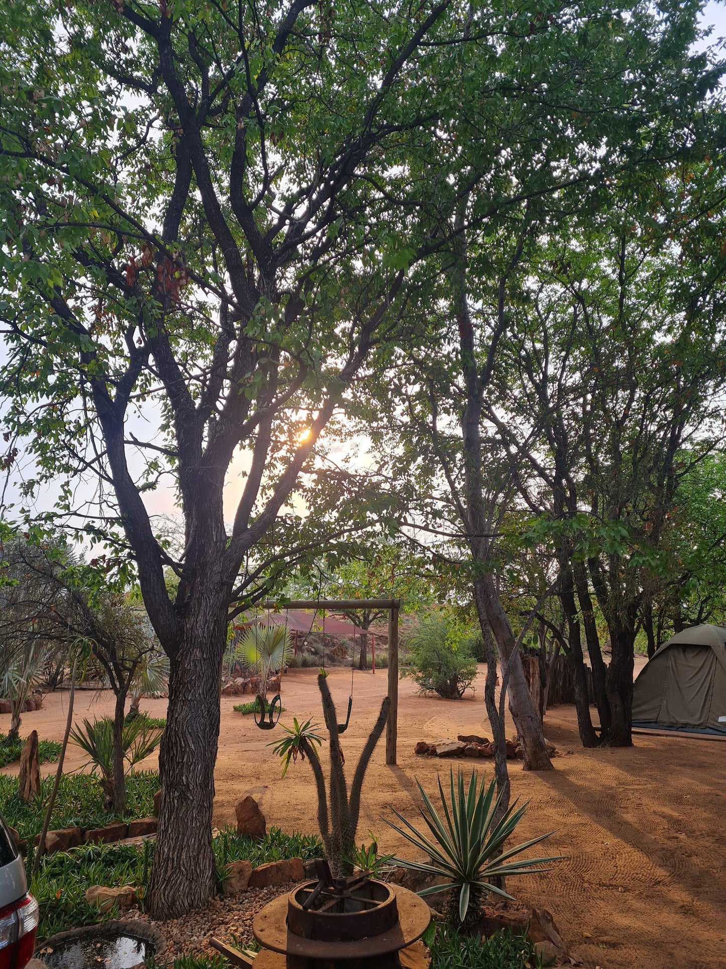 Halcyon Game Lodge Alldays Limpopo Province South Africa Palm Tree, Plant, Nature, Wood, Tent, Architecture