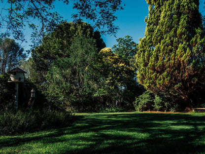 Haldon Estate Country Lodge Quaggafontein Bloemfontein Free State South Africa Plant, Nature, Tree, Wood