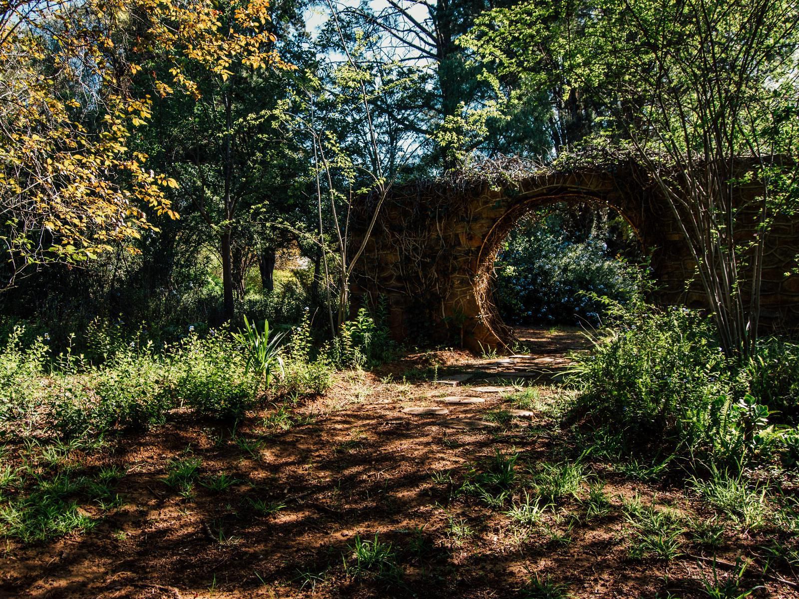 Haldon Estate Country Lodge Quaggafontein Bloemfontein Free State South Africa Plant, Nature, Tree, Wood, Garden