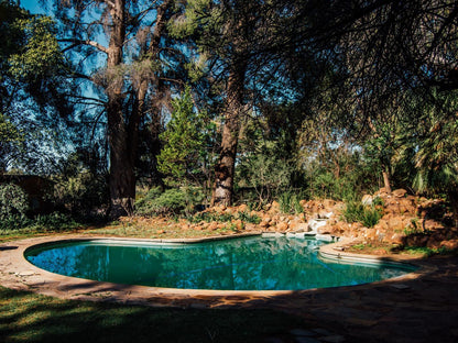 Haldon Estate Country Lodge Quaggafontein Bloemfontein Free State South Africa Garden, Nature, Plant, Swimming Pool