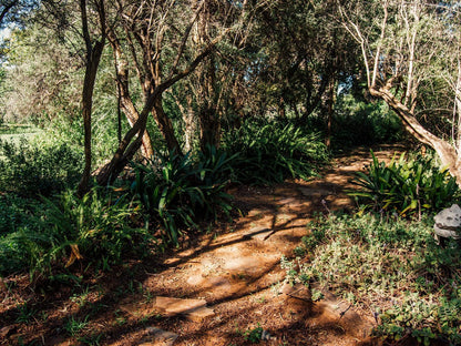 Haldon Estate Country Lodge Quaggafontein Bloemfontein Free State South Africa Forest, Nature, Plant, Tree, Wood