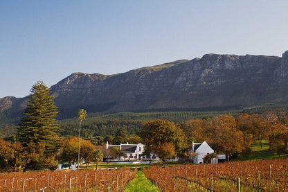 Half Day Private Wine Tour Cape Town City Centre Cape Town Western Cape South Africa Complementary Colors, Barn, Building, Architecture, Agriculture, Wood, Field, Nature, Autumn