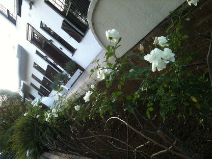 Hallbury Estate Bed And Breakfast Bedfordview Johannesburg Gauteng South Africa Balcony, Architecture, Blossom, Plant, Nature, Flower, Window, Garden