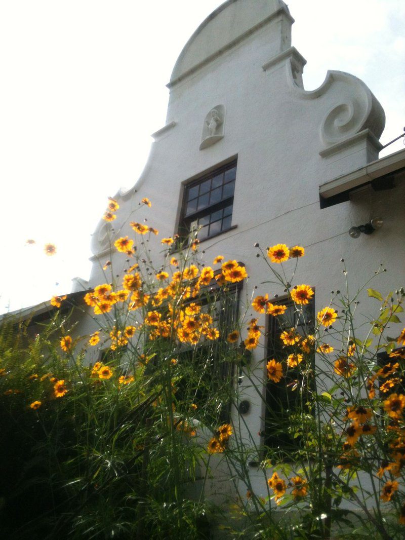 Hallbury Estate Bed And Breakfast Bedfordview Johannesburg Gauteng South Africa Flower, Plant, Nature, Meadow, Sunflower, Garden