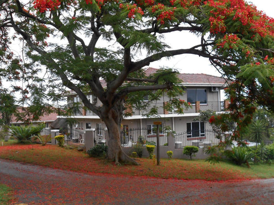 Hamelin Guest House Grosvenor Durban Kwazulu Natal South Africa House, Building, Architecture, Plant, Nature