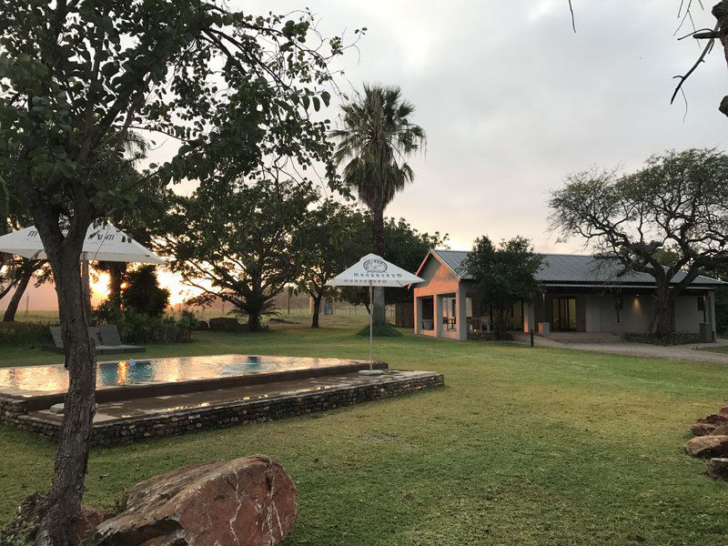 Hamiltons Lodge And Restaurant Malelane Mpumalanga South Africa Palm Tree, Plant, Nature, Wood