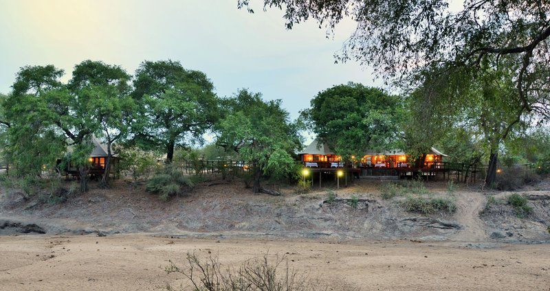 Hamiltons Tented Camp South Kruger Park Mpumalanga South Africa Train, Vehicle