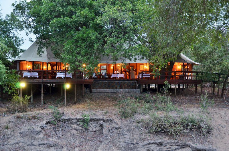 Hamiltons Tented Camp South Kruger Park Mpumalanga South Africa Bar