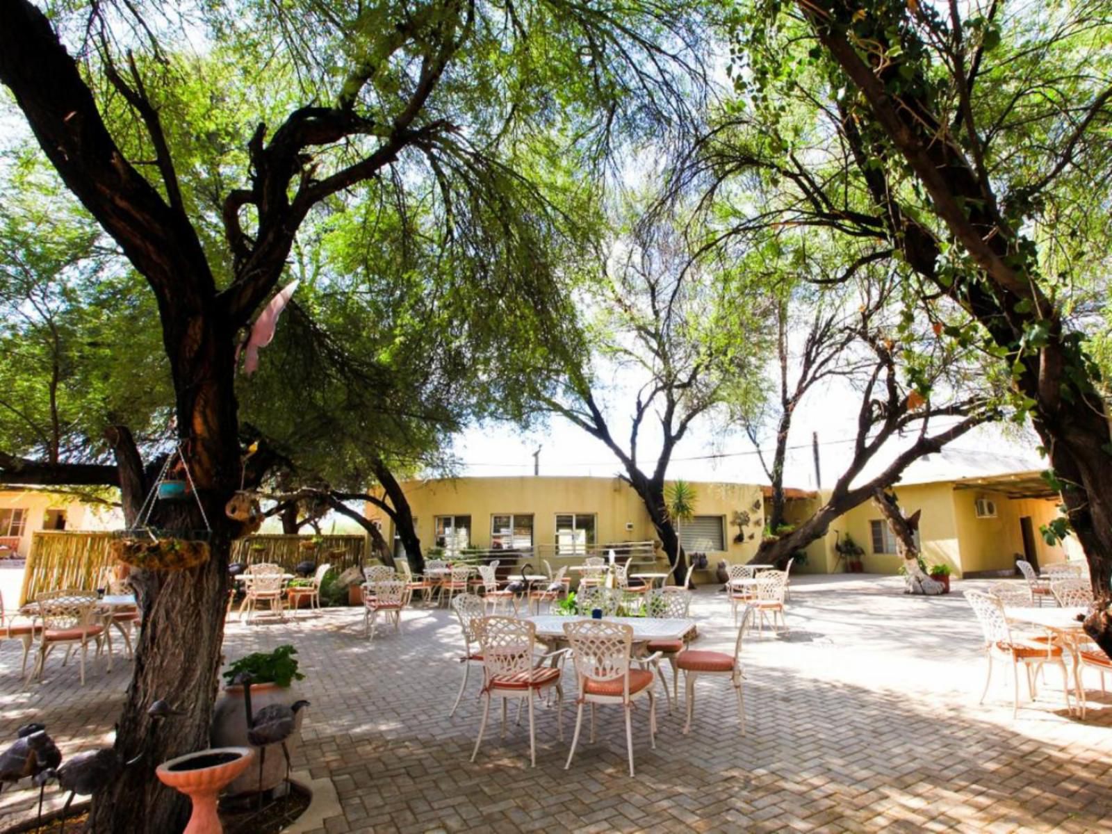 Hammerstein Lodge, Palm Tree, Plant, Nature, Wood, Restaurant, Bar