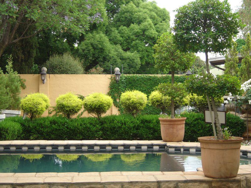 Hampton House Centurion Gauteng South Africa Plant, Nature, Garden, Swimming Pool