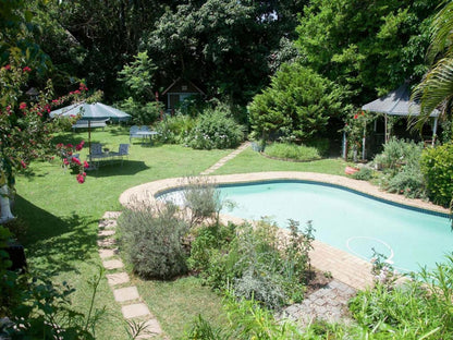 Hampton Rose Guest House Berea El East London Eastern Cape South Africa Garden, Nature, Plant, Swimming Pool