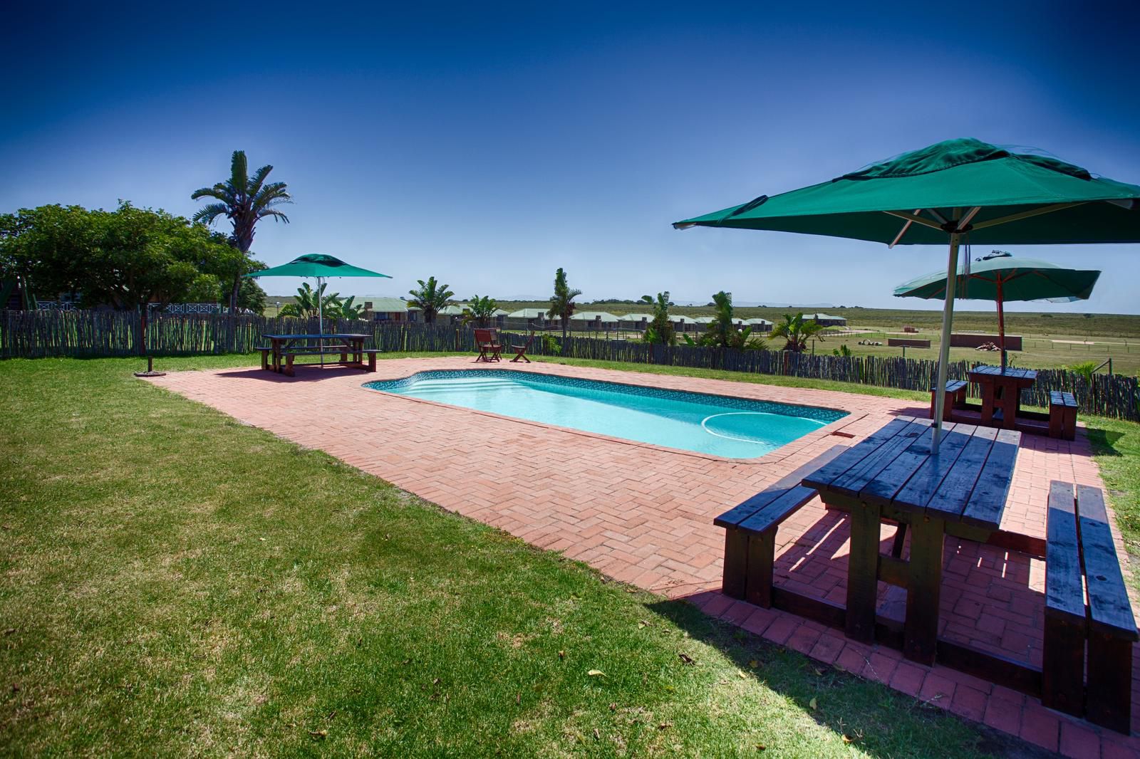 Hancke Holiday Apartments Central Jeffreys Bay Jeffreys Bay Eastern Cape South Africa Complementary Colors, Beach, Nature, Sand, Palm Tree, Plant, Wood, Swimming Pool