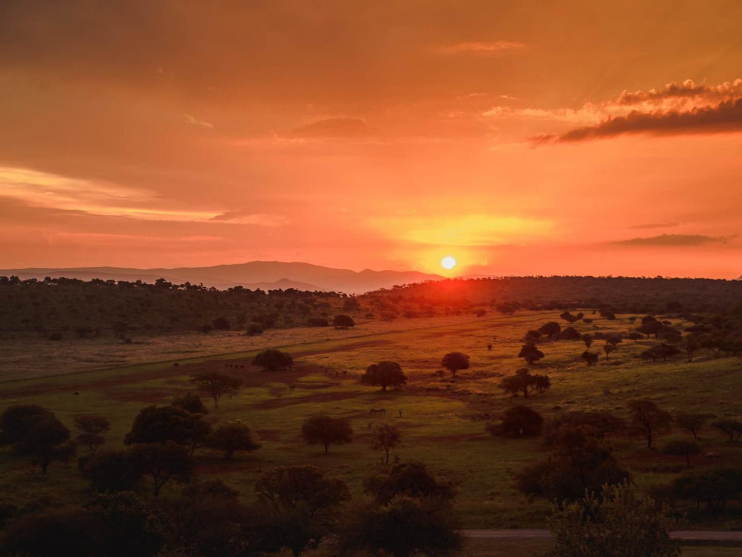 Hannah Game Lodge Ohrigstad Limpopo Province South Africa Colorful, Sky, Nature, Sunset