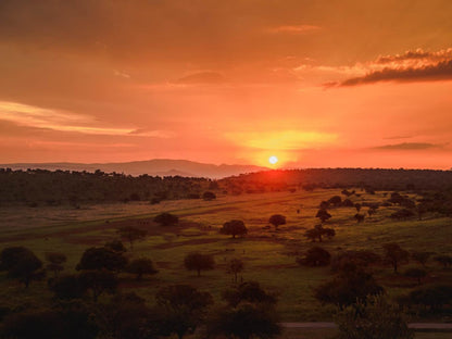 Hannah Game Lodge Ohrigstad Limpopo Province South Africa Colorful, Sky, Nature, Sunset