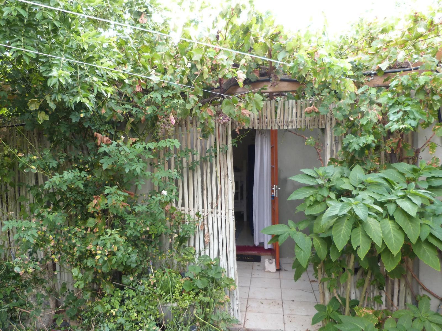 Hannah S Haven Beaufort West Western Cape South Africa Door, Architecture