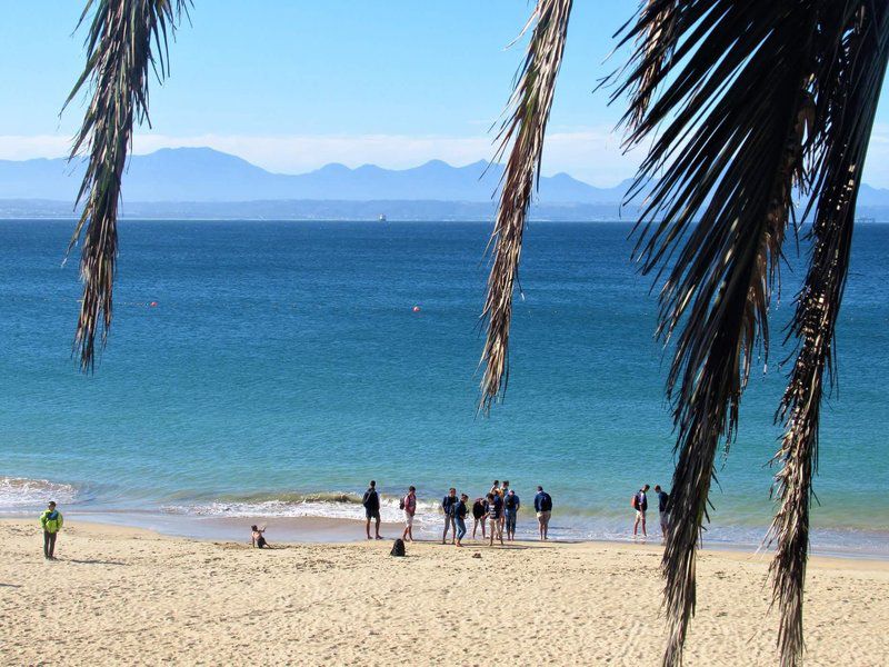 Hanna S Ocean View Apartment Linkside Mossel Bay Mossel Bay Western Cape South Africa Complementary Colors, Beach, Nature, Sand, Palm Tree, Plant, Wood