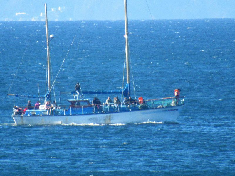 Hanna S Ocean View Apartment Linkside Mossel Bay Mossel Bay Western Cape South Africa Colorful, Boat, Vehicle, Ship, Nature, Ocean, Waters, Sailing, Water Sport, Sport