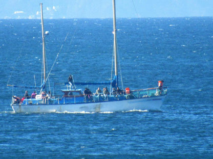 Hanna S Ocean View Apartment Linkside Mossel Bay Mossel Bay Western Cape South Africa Colorful, Boat, Vehicle, Ship, Nature, Ocean, Waters, Sailing, Water Sport, Sport