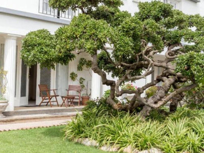 Hansa Hotel Swakopmund, House, Building, Architecture, Plant, Nature, Tree, Wood, Garden