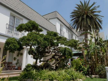 Hansa Hotel Swakopmund, House, Building, Architecture, Palm Tree, Plant, Nature, Wood, Window, Garden