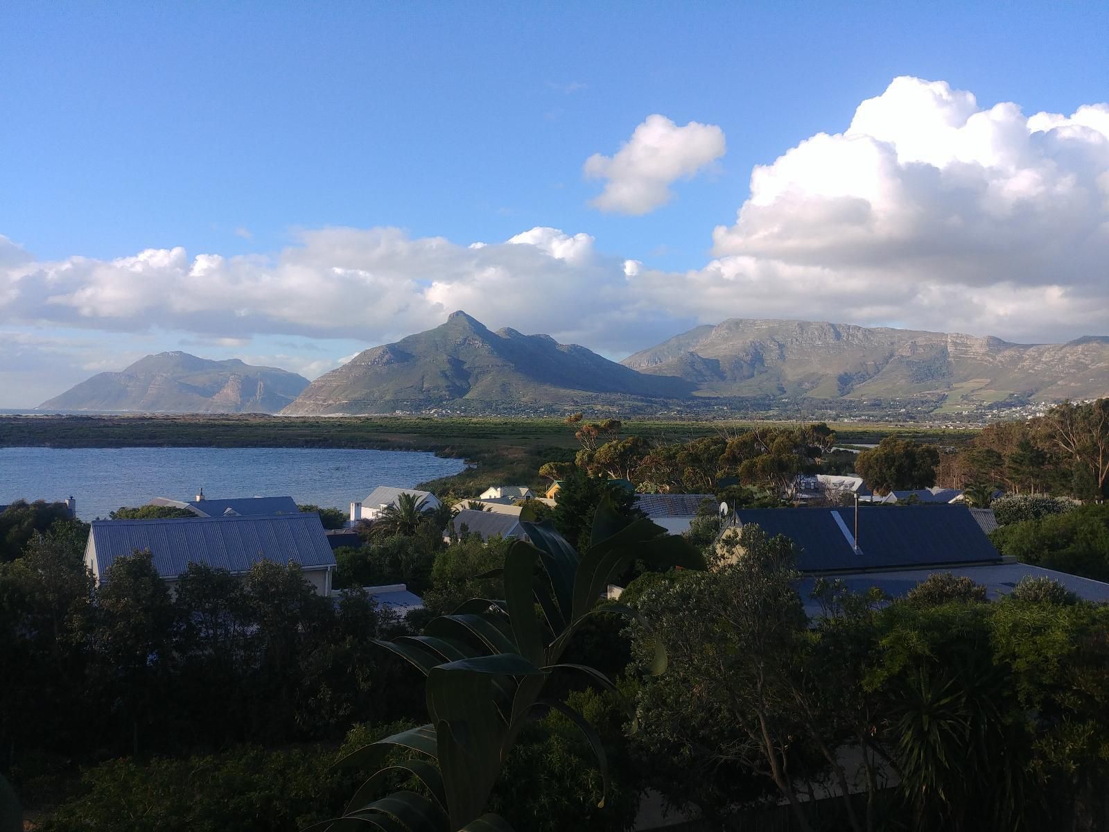 Happy Home Imhoffs Gift Imhoffs Gift Cape Town Western Cape South Africa Mountain, Nature, Palm Tree, Plant, Wood, Highland