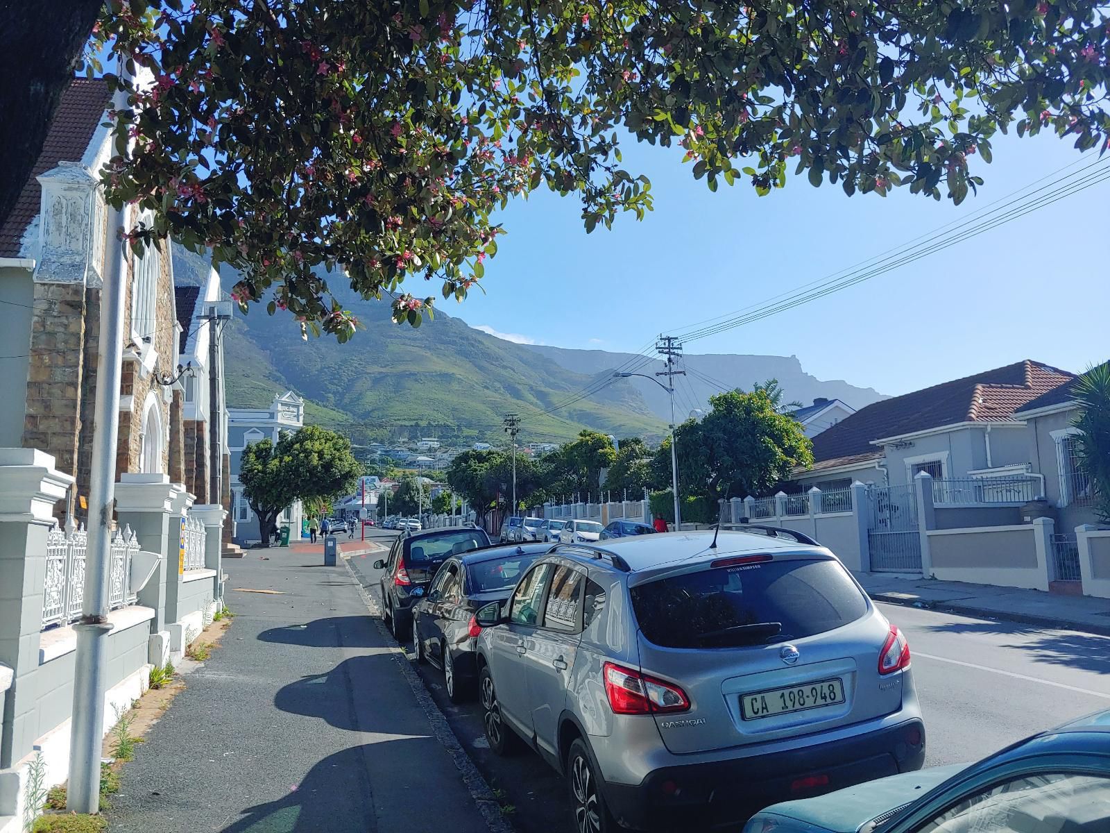 Happy Home Woodstock Woodstock Cape Town Western Cape South Africa House, Building, Architecture, Mountain, Nature, Palm Tree, Plant, Wood, Highland, Street, Car, Vehicle