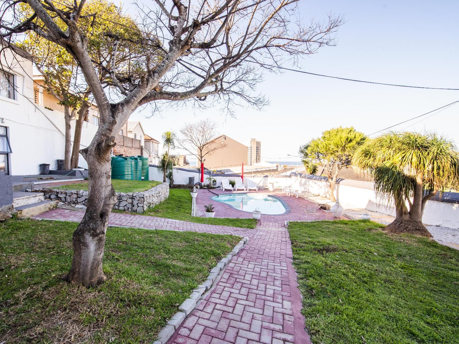 Happy Homes Guesthouse Richmond Hill Port Elizabeth Eastern Cape South Africa House, Building, Architecture, Palm Tree, Plant, Nature, Wood, Swimming Pool