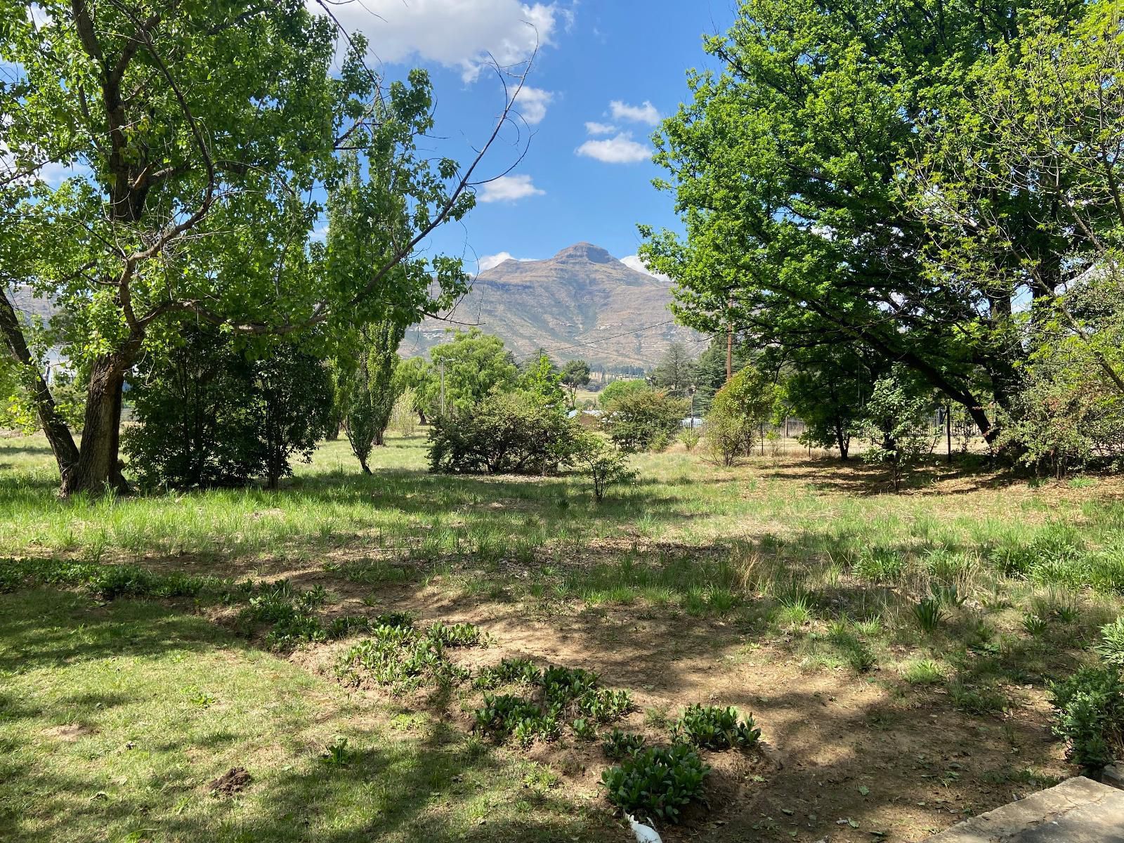 Happy Oaks Clarens Free State South Africa Nature