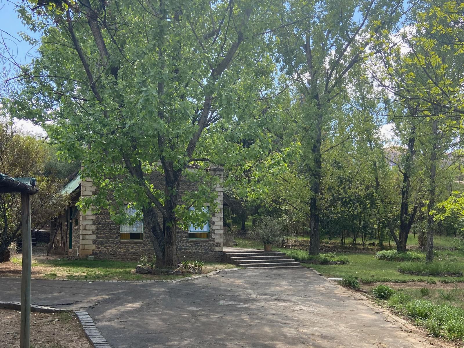 Happy Oaks Clarens Free State South Africa Tree, Plant, Nature, Wood