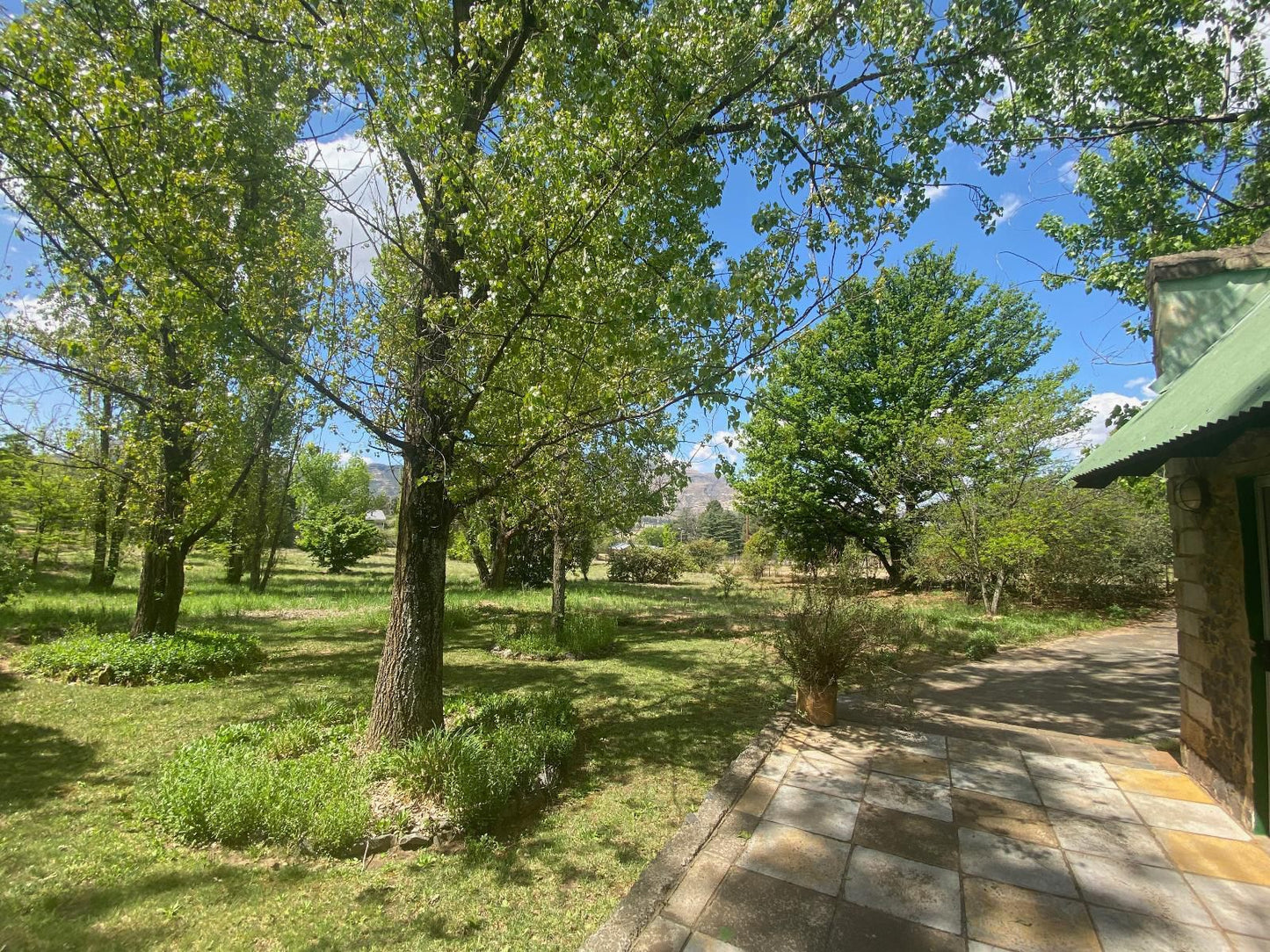 Happy Oaks Clarens Free State South Africa Plant, Nature, Tree, Wood, Garden