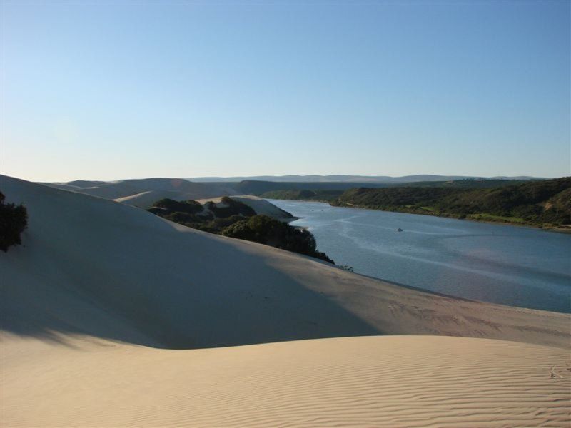 Happy Jackal Guest House Colchester Eastern Cape South Africa Complementary Colors, Desert, Nature, Sand