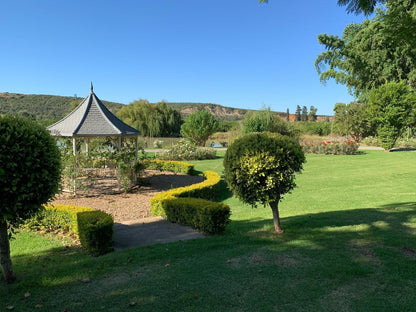 Happy Lands Bandb Addo South Africa Sunland Eastern Cape South Africa Complementary Colors, Garden, Nature, Plant