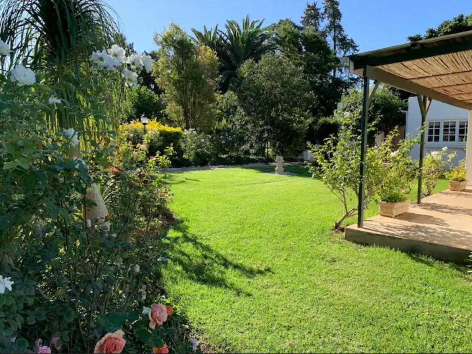 Happy Lands Bandb Addo South Africa Sunland Eastern Cape South Africa Palm Tree, Plant, Nature, Wood, Garden