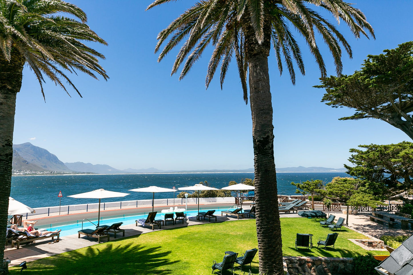 Harbour House Hotel Hermanus Western Cape South Africa Beach, Nature, Sand, Palm Tree, Plant, Wood, Swimming Pool