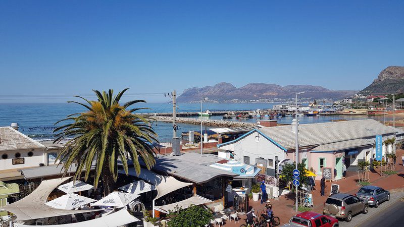 Harbour Views Kalk Bay Cape Town Western Cape South Africa Beach, Nature, Sand, Harbor, Waters, City, Palm Tree, Plant, Wood, Architecture, Building