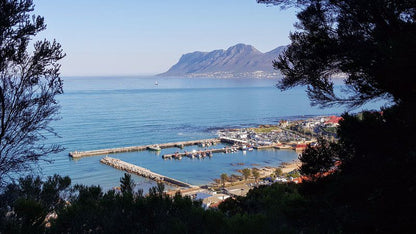 Harbour Views Kalk Bay Cape Town Western Cape South Africa Beach, Nature, Sand, Framing