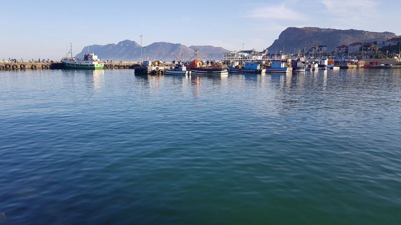 Harbour Views Kalk Bay Cape Town Western Cape South Africa Boat, Vehicle, Beach, Nature, Sand, Harbor, Waters, City, Architecture, Building