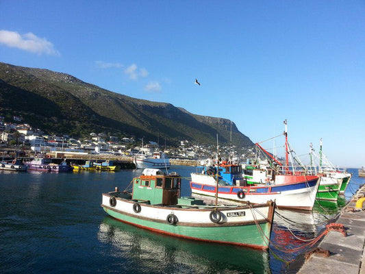 Harbour Views Kalk Bay Cape Town Western Cape South Africa Boat, Vehicle, Beach, Nature, Sand, Harbor, Waters, City, Mountain, Architecture, Building, Highland