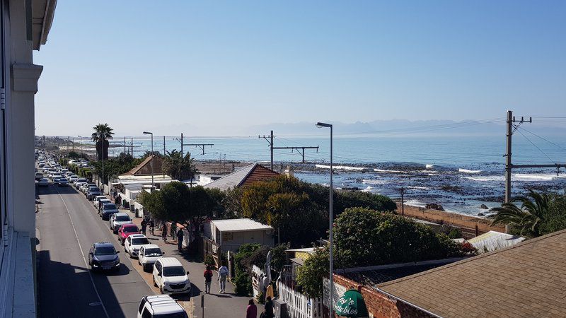 Harbour Views Kalk Bay Cape Town Western Cape South Africa Beach, Nature, Sand, Palm Tree, Plant, Wood, Framing