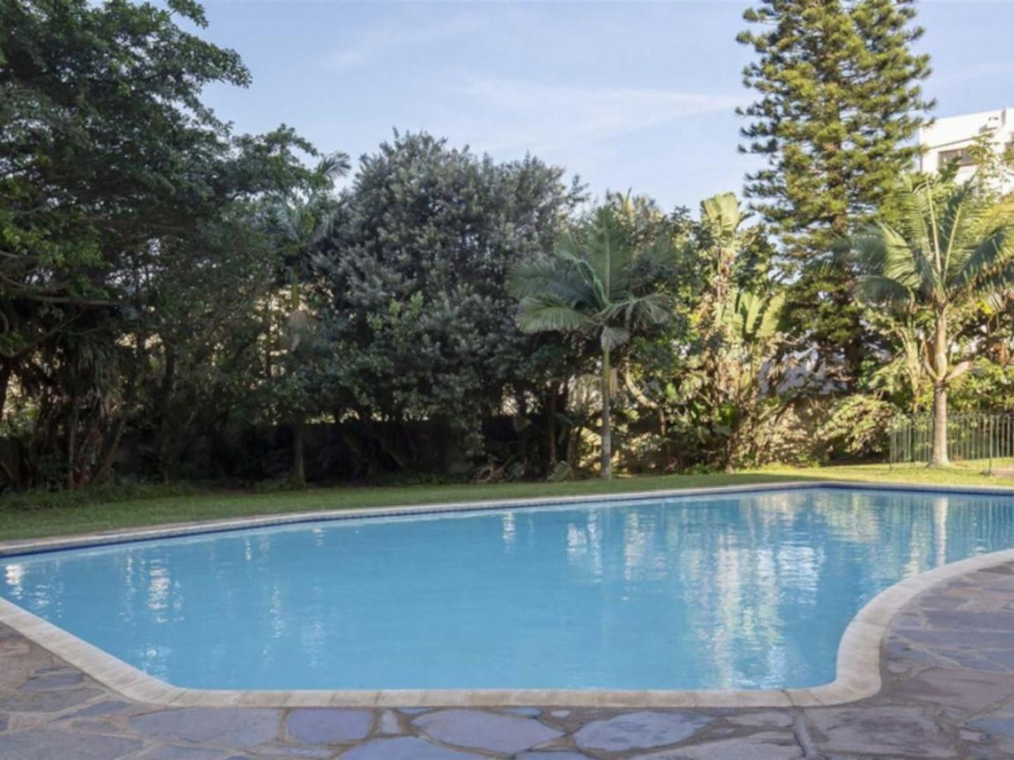 Harcourts Dolphin Coast, Garden, Nature, Plant, Swimming Pool