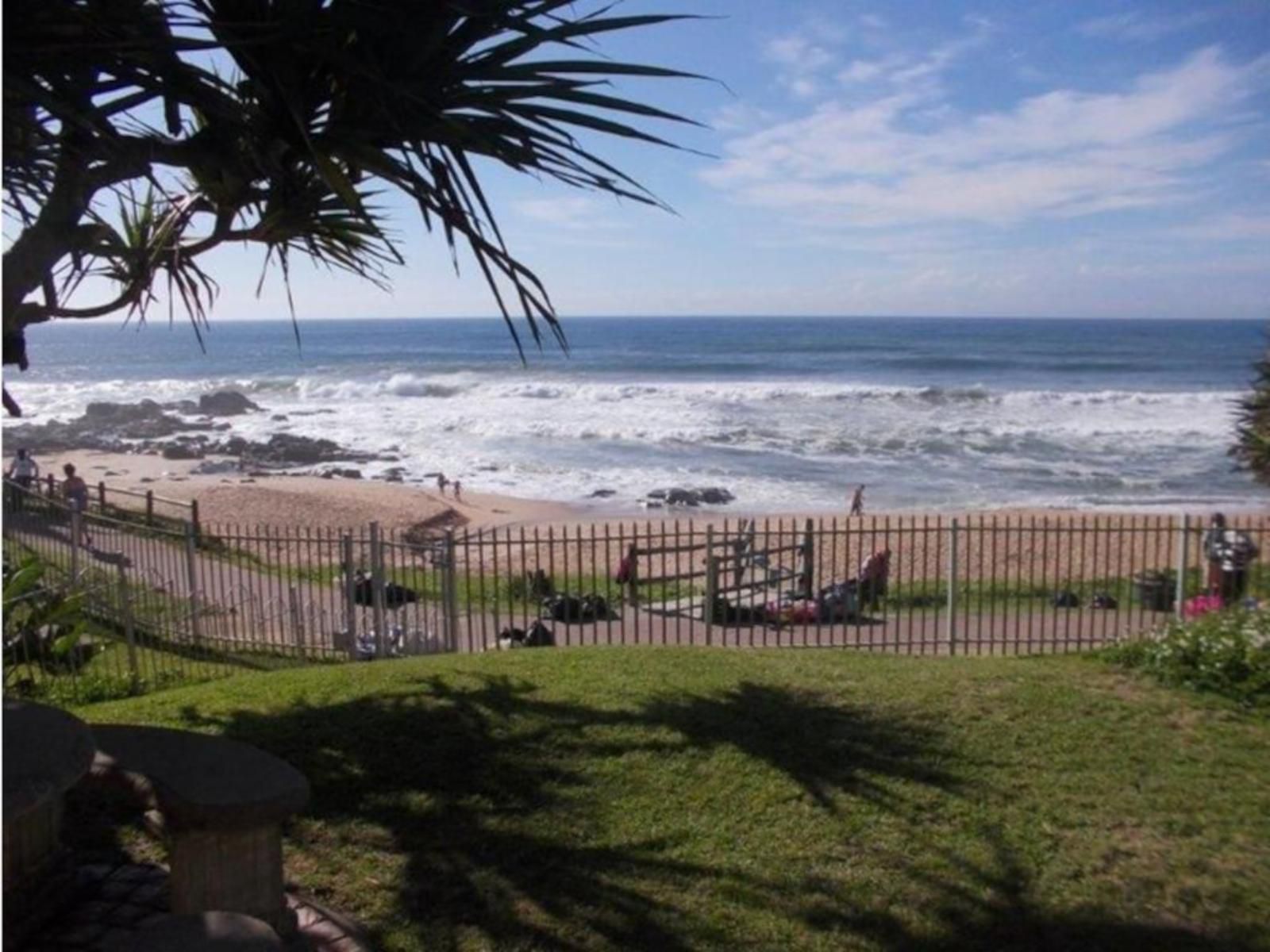 Harcourts Dolphin Coast, Beach, Nature, Sand, Palm Tree, Plant, Wood, Wave, Waters, Ocean