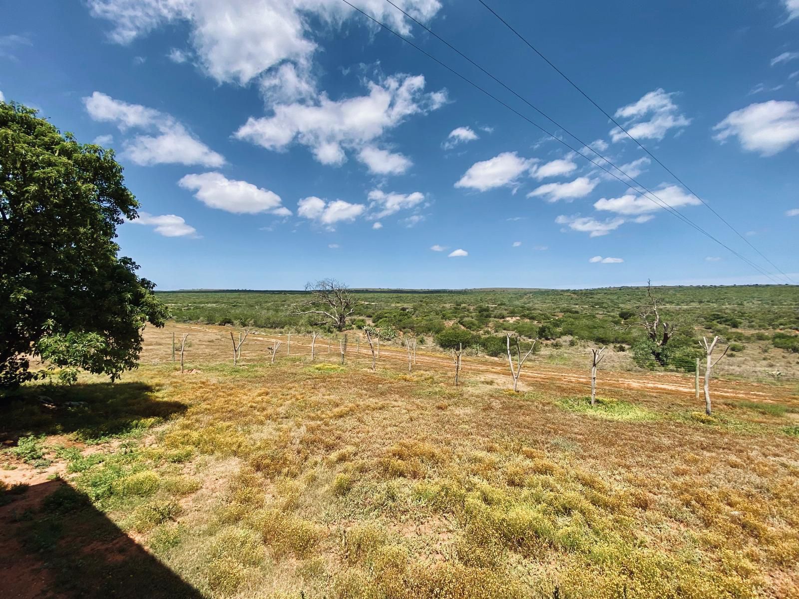 Hard Rock Uitenhage Eastern Cape South Africa Complementary Colors, Lowland, Nature