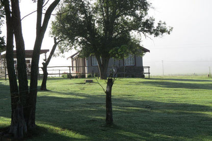 Hare S Rest Wakkerstroom Mpumalanga South Africa Tree, Plant, Nature, Wood