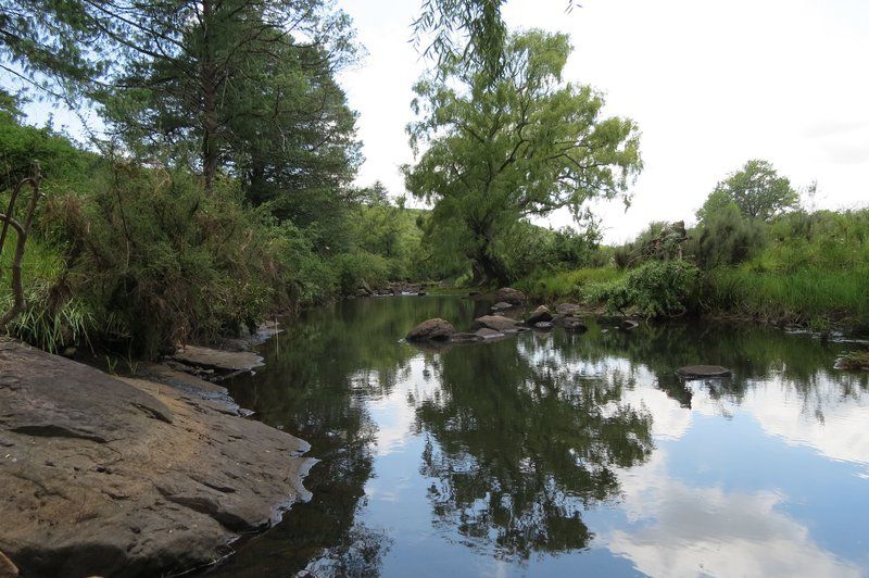 Hare S Rest Wakkerstroom Mpumalanga South Africa River, Nature, Waters, Tree, Plant, Wood