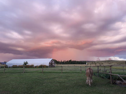 Hare S Rest Wakkerstroom Mpumalanga South Africa Barn, Building, Architecture, Agriculture, Wood, Nature