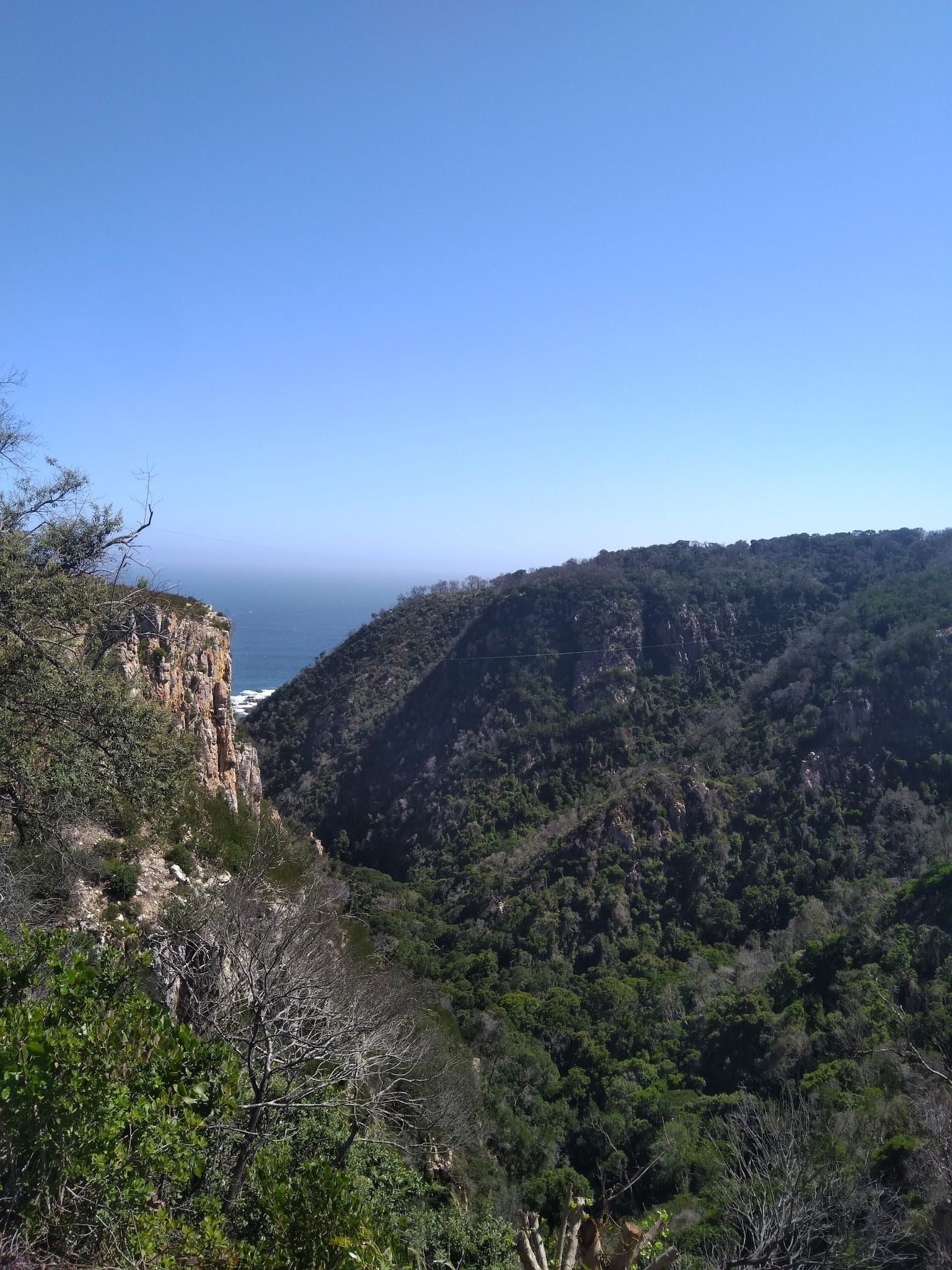 Harkerville Forest Lodge Harkerville Plettenberg Bay Western Cape South Africa Cliff, Nature, Forest, Plant, Tree, Wood