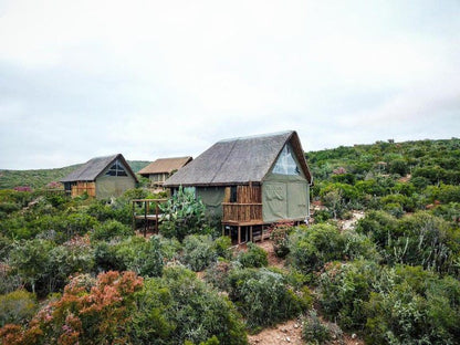 Harmony Game Lodge Port Elizabeth And Surrounds Eastern Cape South Africa Building, Architecture