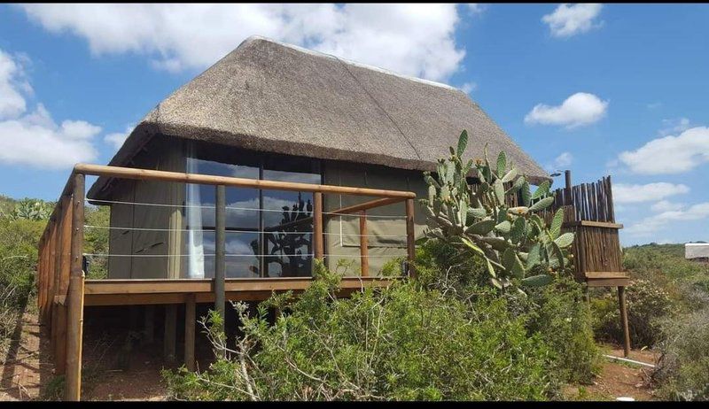 Harmony Game Lodge Port Elizabeth And Surrounds Eastern Cape South Africa Complementary Colors, Building, Architecture