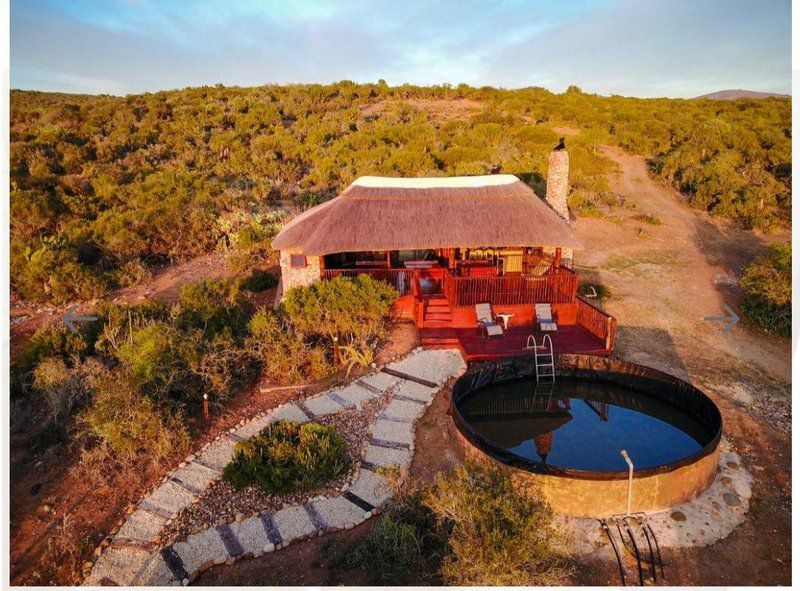 Harmony Game Lodge Port Elizabeth And Surrounds Eastern Cape South Africa 