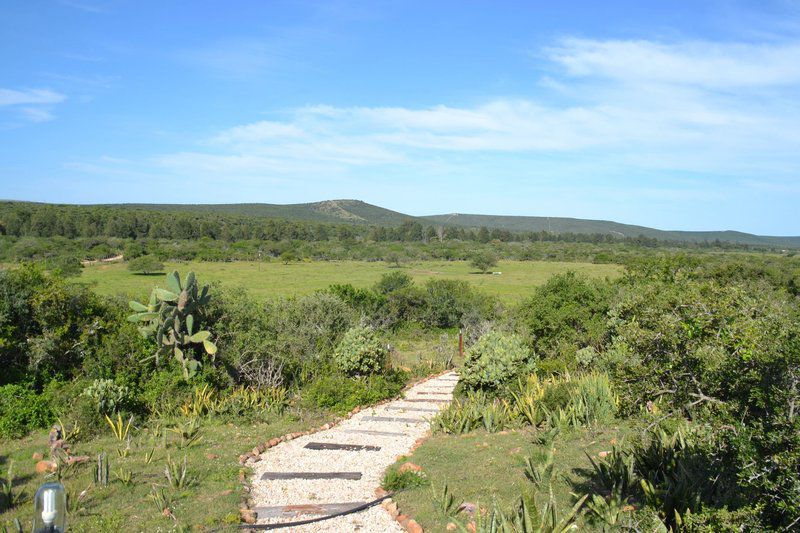 Harmony Game Lodge Port Elizabeth And Surrounds Eastern Cape South Africa Complementary Colors, Nature